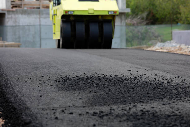 Best Professional Driveway Pavers  in Savanna, IL