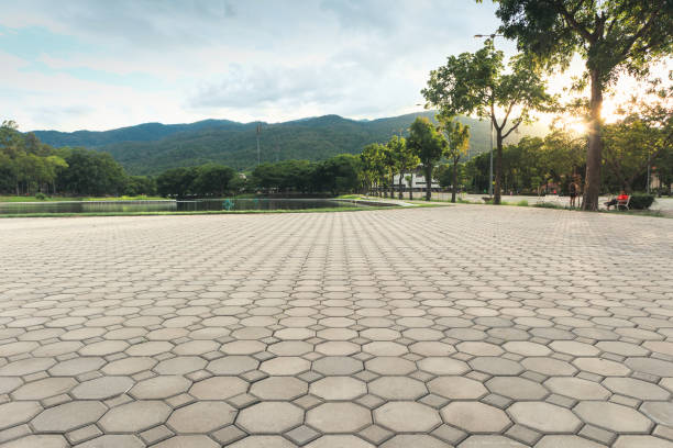 Driveway Pavers for Homes in Savanna, IL